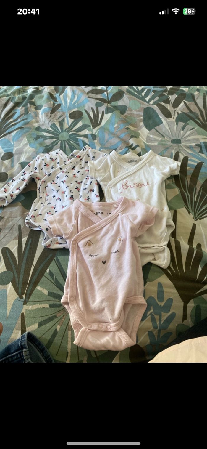 lot bodies