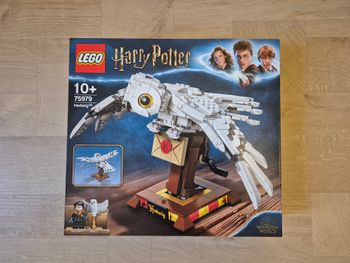NEUF Boite de Lego 75979 Harry Potter Chouette Hedwige