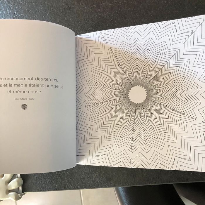 Petit livre à colorier et pensées à méditer Illusion d’optique Neuf - photo numéro 4