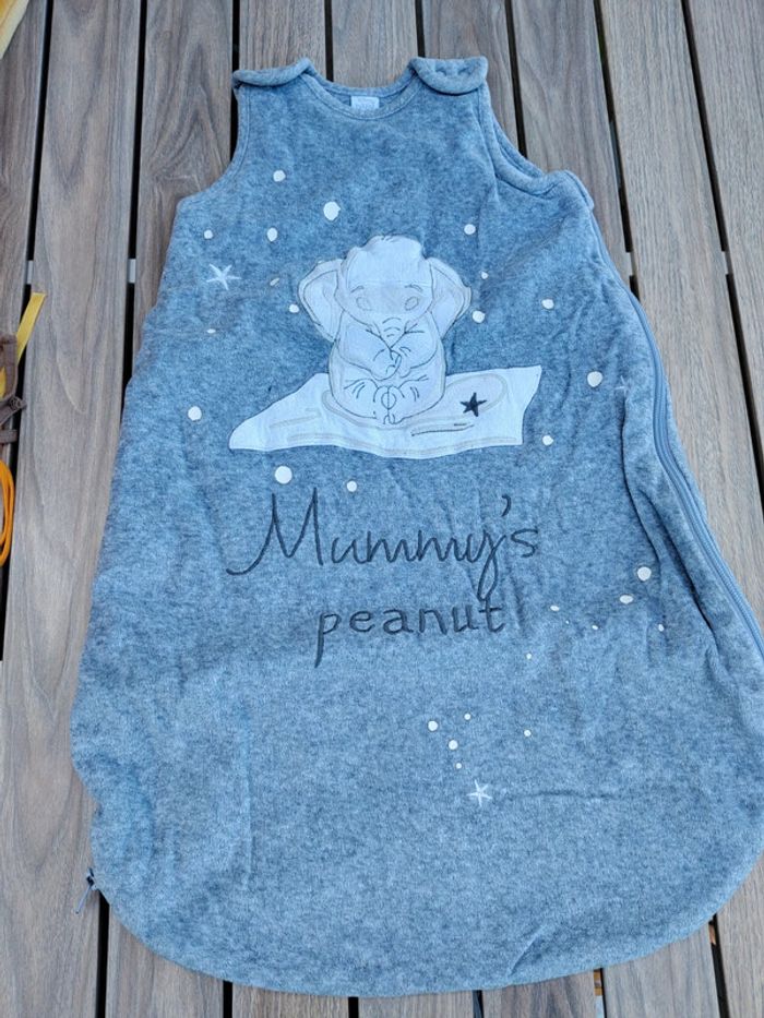 Gigoteuse Disney baby T.0-6 M