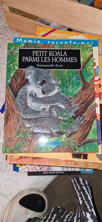 Livre enfant koala parmis les hommes