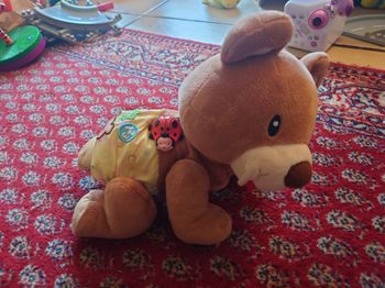 Ours aventurier vtech