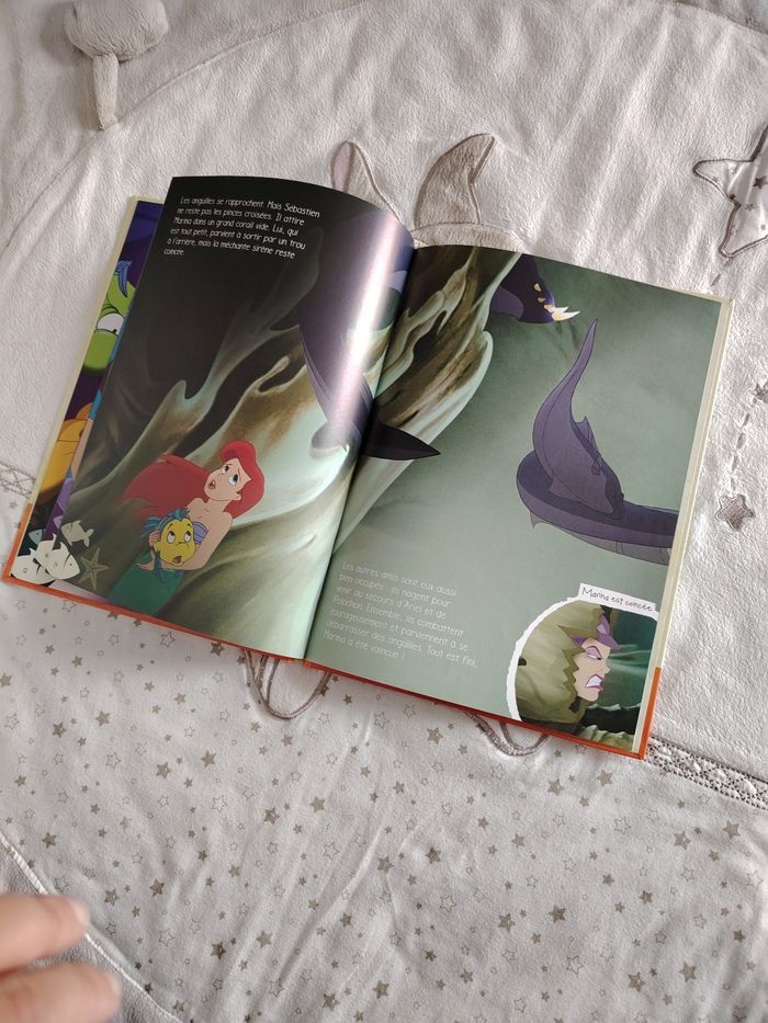 Livre ariel - photo numéro 4