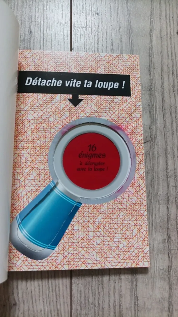 Joli livre d enquêtes et de révisions CE2 et CM1 - photo numéro 2