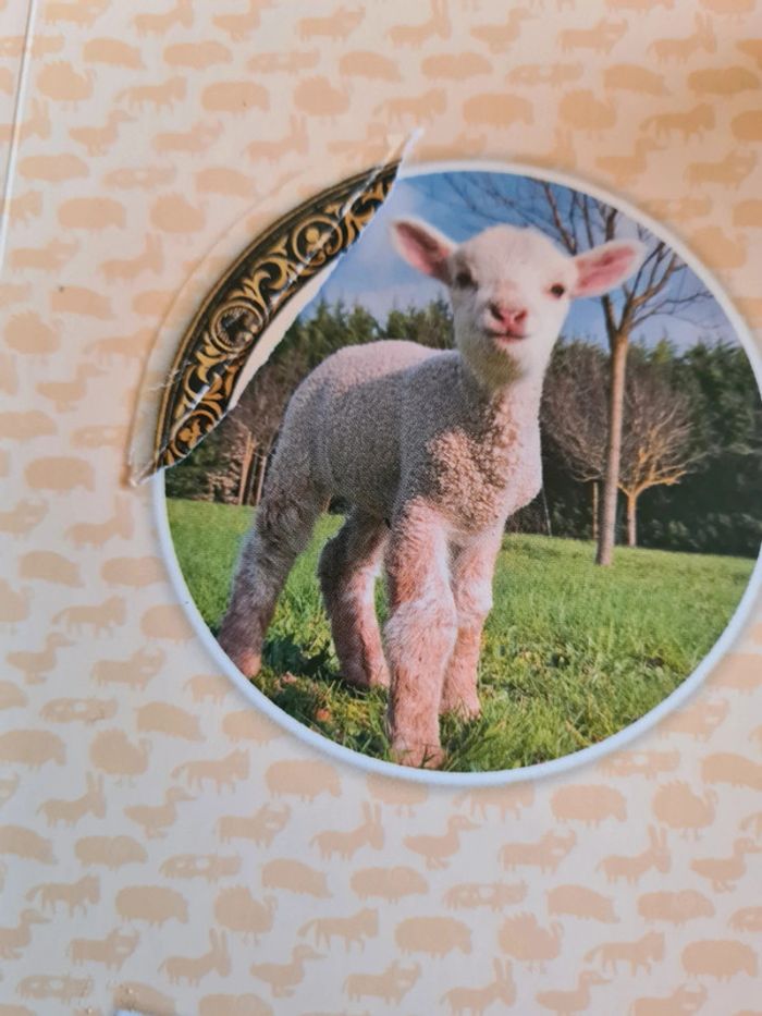 Livre doc à pattes - photo numéro 9