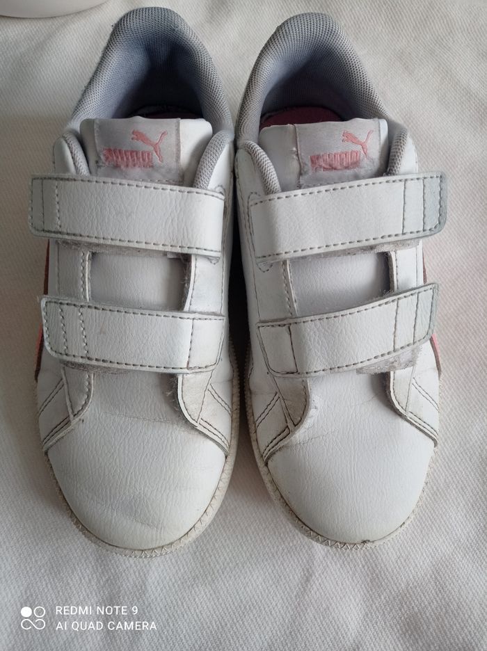 Puma à scratch - photo numéro 7