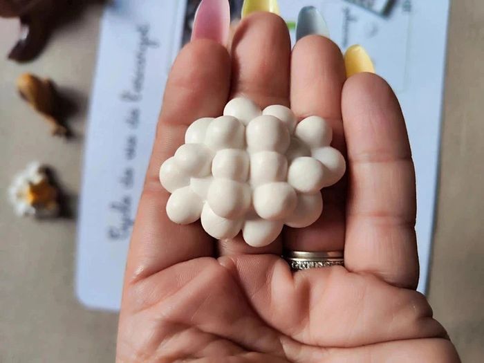 Kit cycle de vie d'un escargot Montessori - photo numéro 6