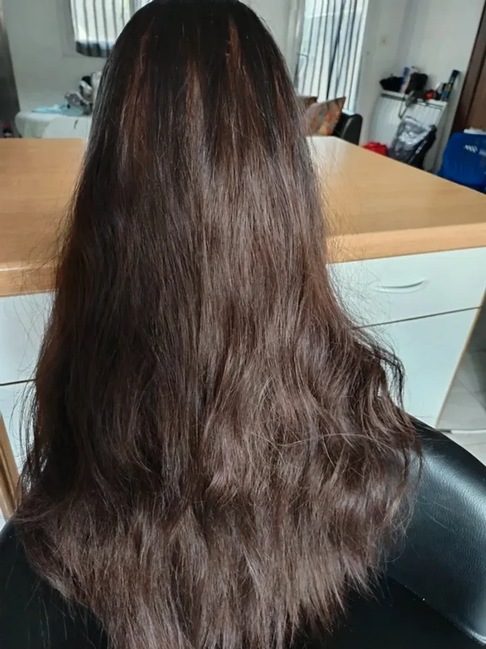 perruque - photo numéro 2