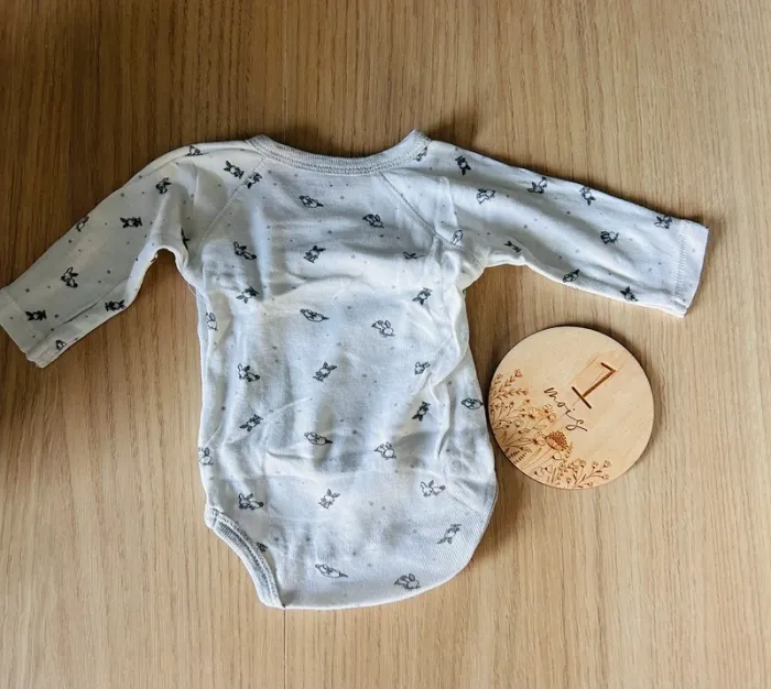 Lot de 2 bodys - photo numéro 3