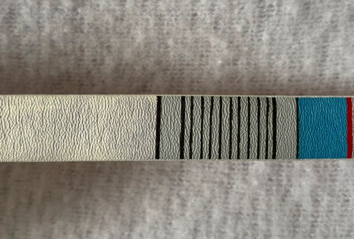Ceinture Paul Smith - photo numéro 9
