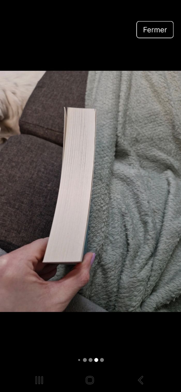 Tout ton portrait / Isabel Wolff - photo numéro 5