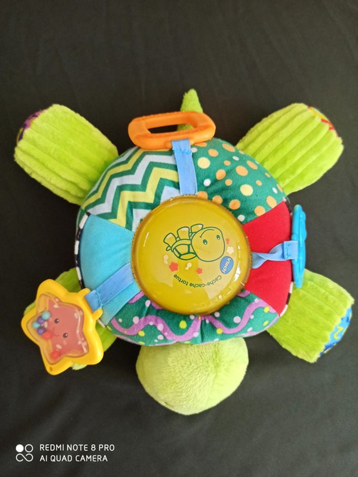 Cache cache Tortue