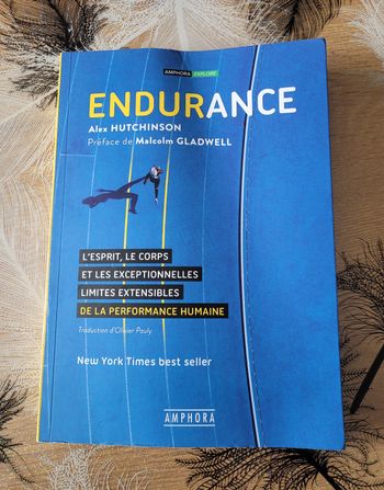Endurance - L'esprit, Le Corps Et Les Curieuses Limites Élastiques De La Performance Humaine Alex Hu