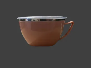 Bol à nouilles isotherme