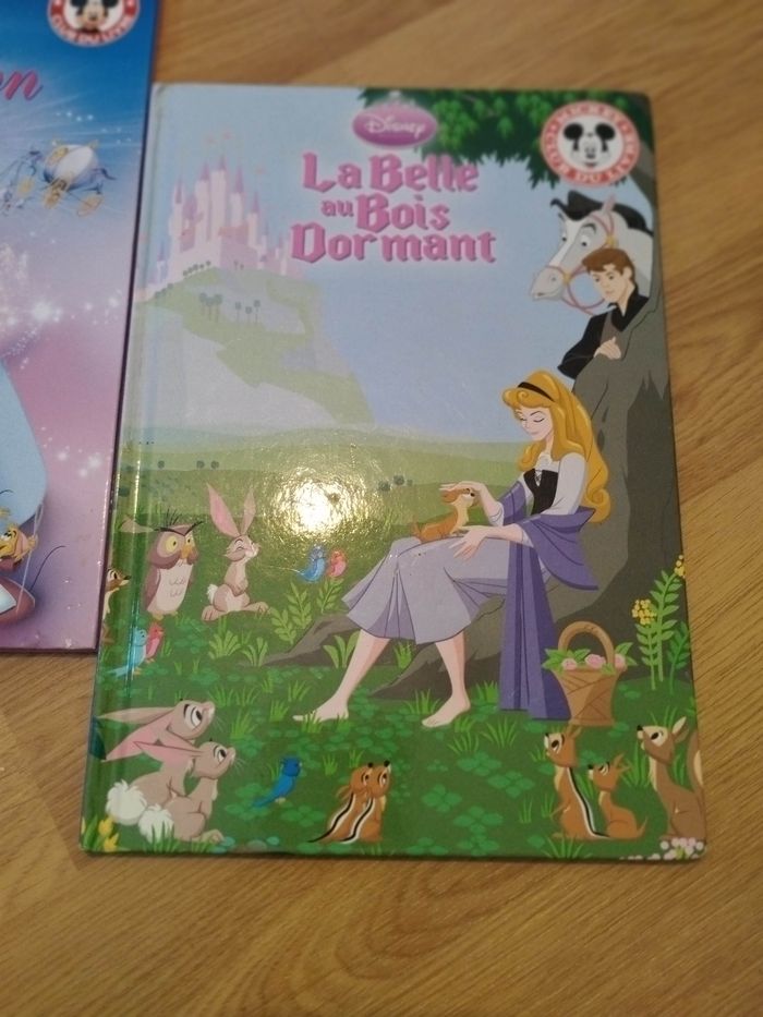 Lot Livres enfant Disney Cendrillon et la belle au bois dormant - photo numéro 3