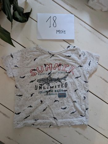 Tee shirt été bébé garçon 18 mois