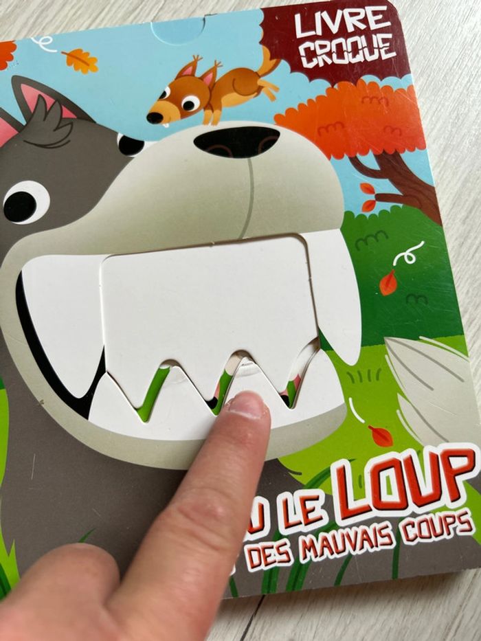 Livre loup - photo numéro 4