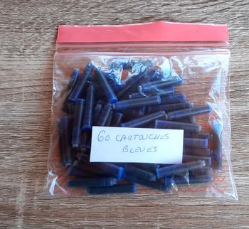 Lot de 60 cartouches d'encre bleue