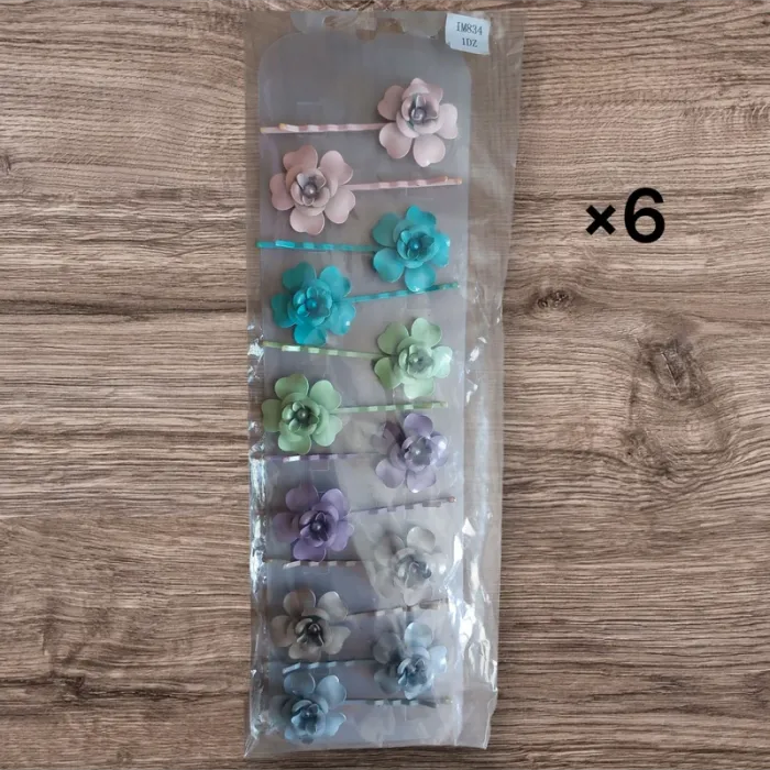 Lot 6 barrettes cheveux neuve sous blister