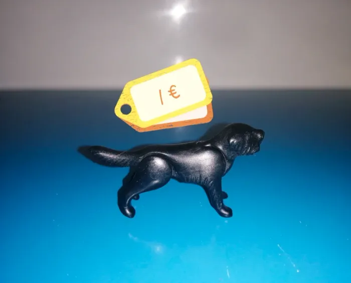 Thème* animaux / chien - chiot - photo numéro 4