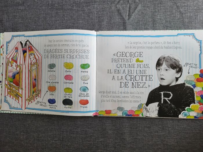 Harry Potter : Honeydukes - Un livre à gratter et à sentir - photo numéro 6