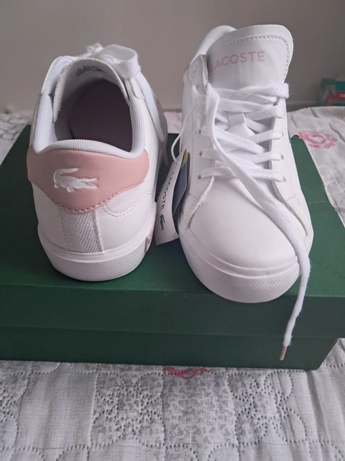 Basket neuve lacoste 37,5 - photo numéro 6