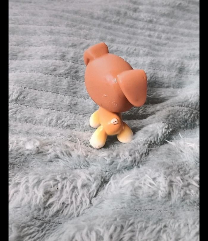 Petshop chien 25 - photo numéro 3