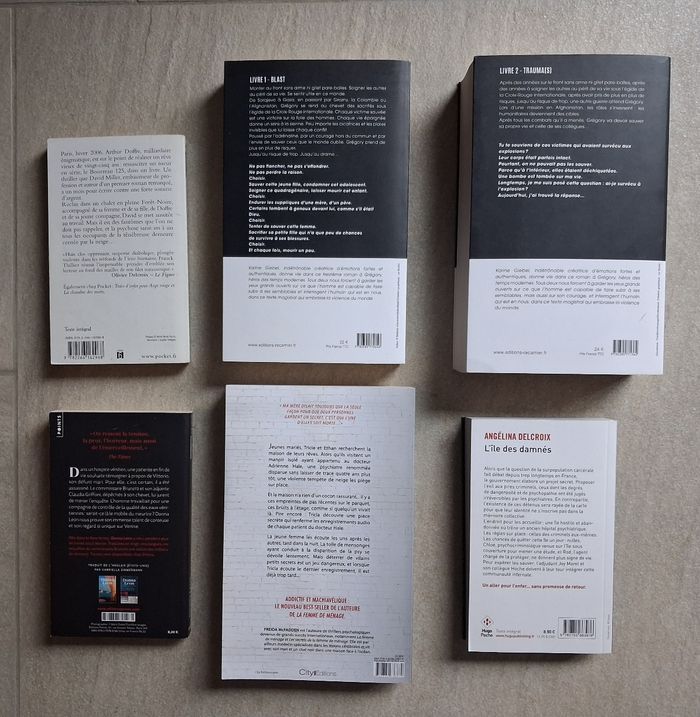 Lot 6 Thrillers - Karine Giebel - Angélina Delcroix - Freida McFadden - photo numéro 2