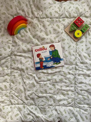 livre caillou le pot