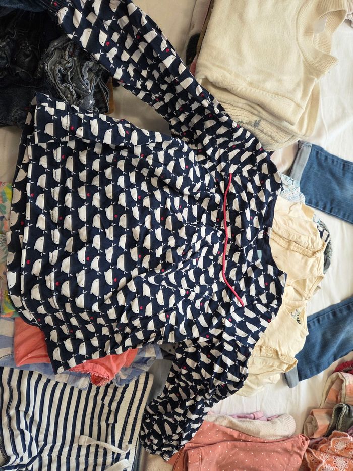 Lot vêtements 24 mois - photo numéro 5