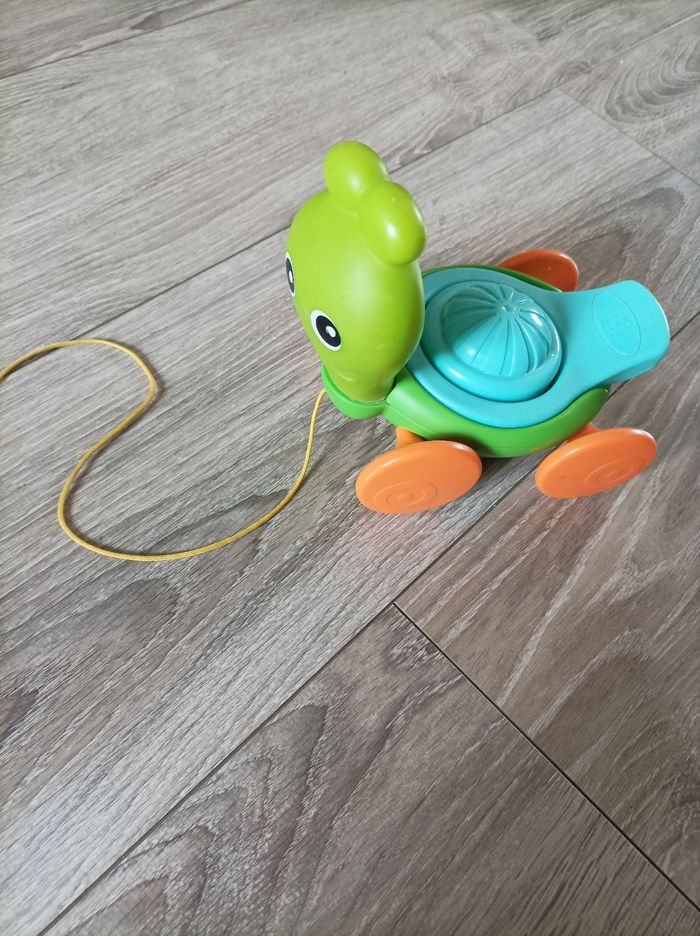 Tortue à tirer