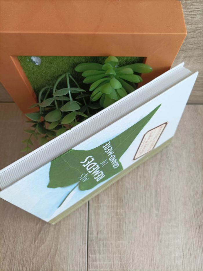 Livre mes remèdes de Grand-mère - photo numéro 5