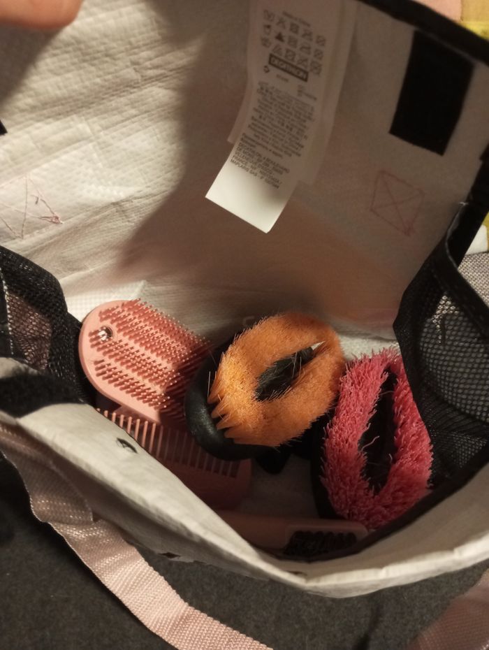 Kit de pansage enfant - photo numéro 2