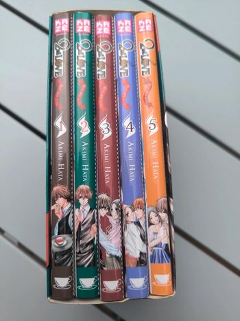 Intégrale 5 excellent état manga 2nd love