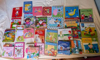 Lot de livres pour enfants