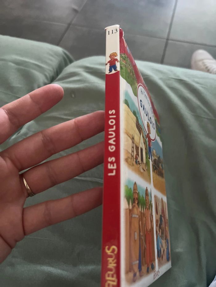 La petite imagerie au temps des gaulois - photo numéro 2