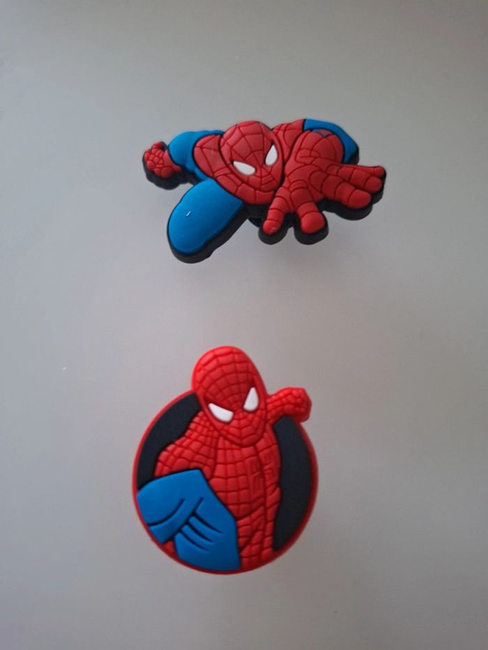 Lot de 2 charms