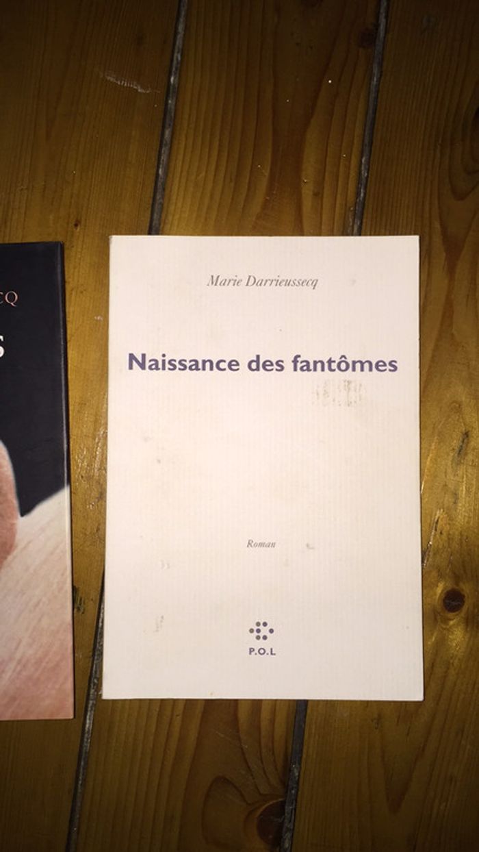 2 livres Marie darieussecq - photo numéro 2