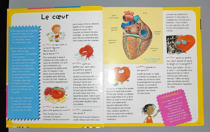 Le corps - photo numéro 2