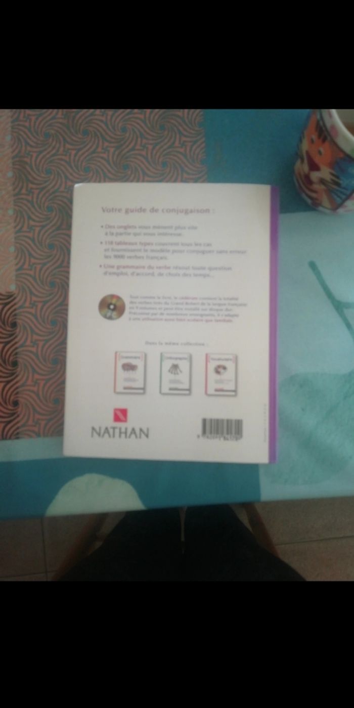 Le guide de conjugaison - photo numéro 2