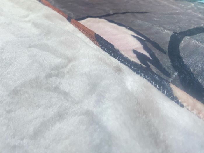 Couverture Tom & Jerry - photo numéro 6