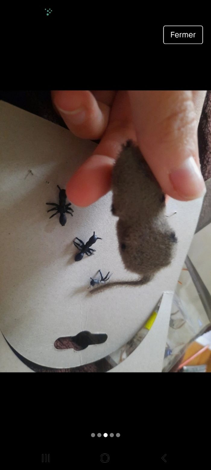Lot figurine souris fourmis mini animaux idéal bouteilles sensorielle - photo numéro 2