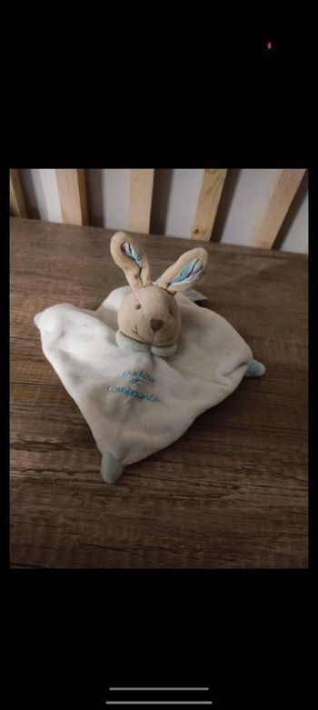 Lapin doudou et compagnie