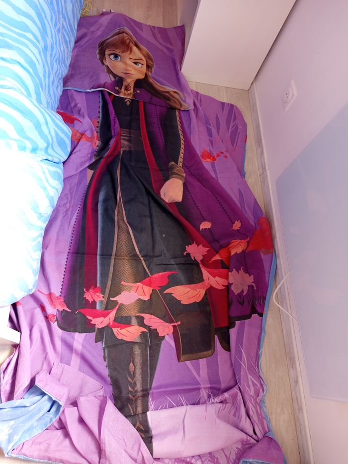 Reine des neiges - photo numéro 3