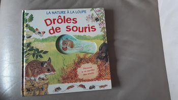 Livre Droles de souris