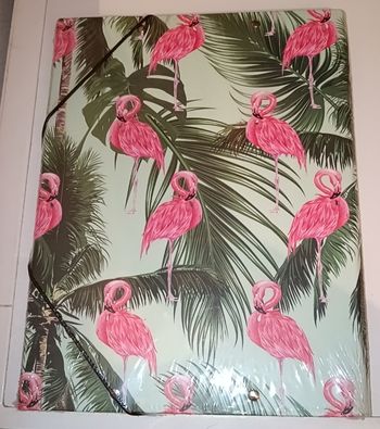 Pochette