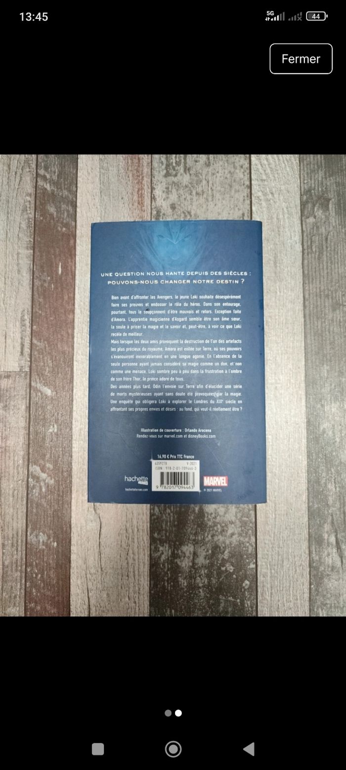 Loki et les racines du mal - photo numéro 2