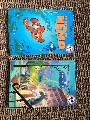 2 Livres Disney