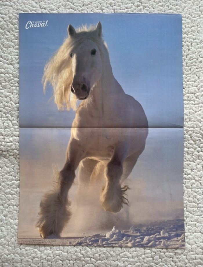 Magazine + 3 posters l’univers du cheval - photo numéro 8