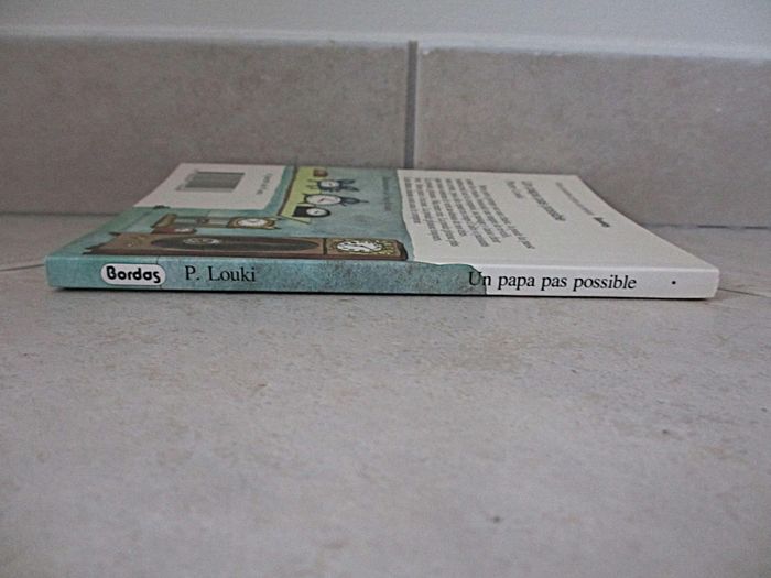 Livre enfant Un Papa pas possible – Pierre Louki - photo numéro 4